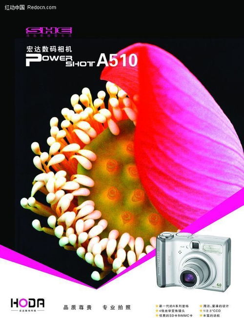 捕捉每一個精彩瞬間——新一代數碼相機，開啟攝影新紀元